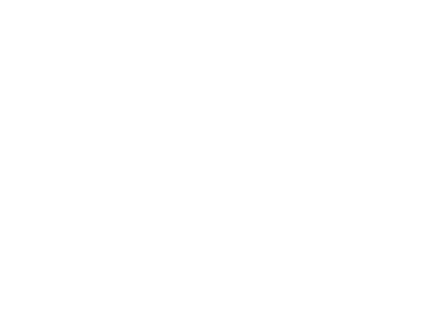 A3i logo negativo