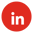 icona-linkedin